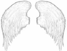 wing drawings