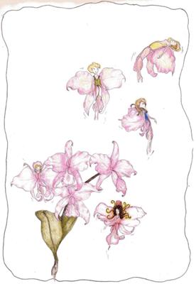 Orchid Fairies