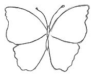 Butterfly Outline Template