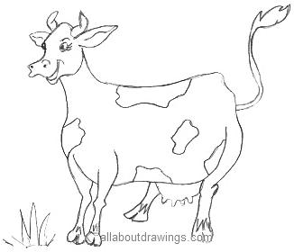 cartoon cow drawings
