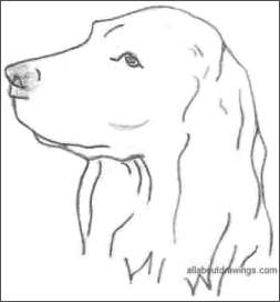 Easy Dog Sketch