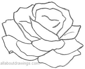 http://www.allaboutdrawings.com/image-files/rose-outline.jpg