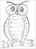 Cartoon Owl Drawing
