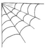 Spider Web In a Corner Drawing