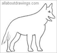 Outline Of A Wolf
