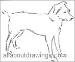 Dog Outline