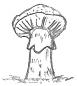 A Toadstool Drawing