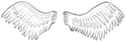 Angel Wings Drawing