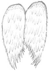 Angel Wings Drawing