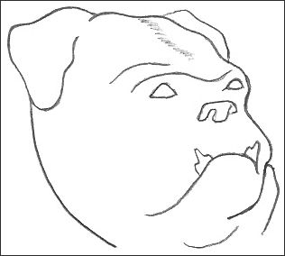 Bulldog Outline