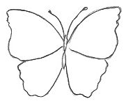 Butterfly Template