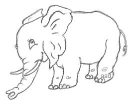 Cartoon Elephant Drawing