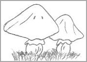 Cartoon Mushroom Drawing