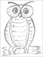 Cartoon Owl Drawing
