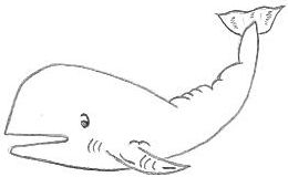 Cartoon Whale Drawing