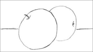 Line Drawing Apples