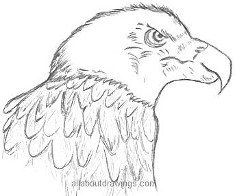 a black and white drawing of an eagle dressed in suit