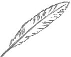 Feather Drawing