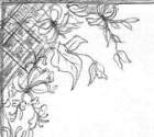 Sketch flowers