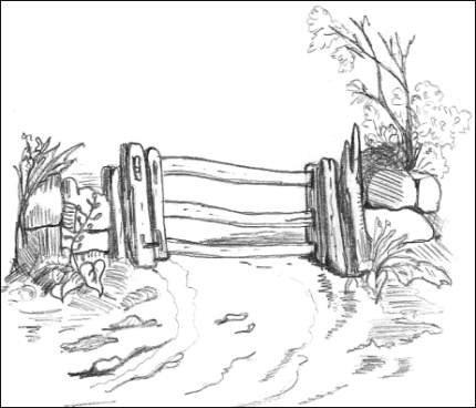 Gate Drawing