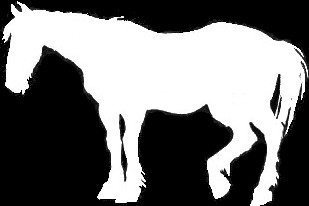 Horse Silhouette