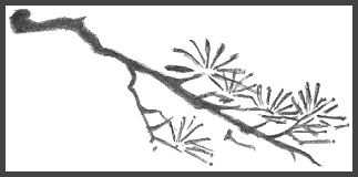 Japanese Branch Drawing
