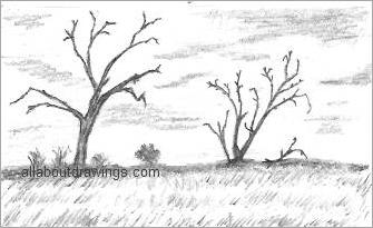 How to Draw a Tree 15 EASY Drawing Projects