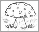 Mushroom Drawing