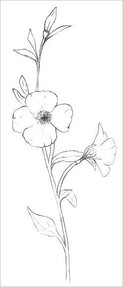 Free Vector line art and hand drawing flower art black and white flat  design simple flower 24114015 Vector Art at Vecteezy