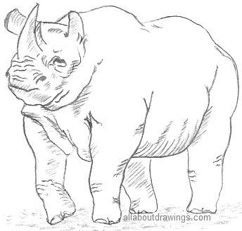 Animals Sketch Stock Illustrations  65165 Animals Sketch Stock  Illustrations Vectors  Clipart  Dreamstime