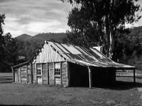 Shed in Black and White