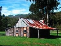 Shed in Color