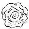 Sketch A Rose