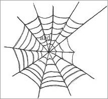 Spider Web Drawings