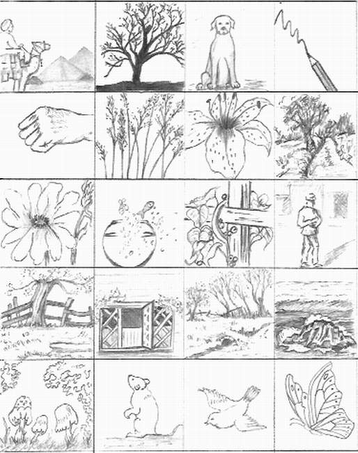 Thumbnail Drawings