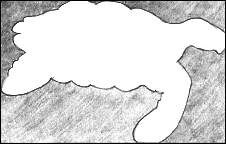 Turtle Drawing Negative Space