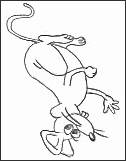 Drawing of a Mouse Upside Down