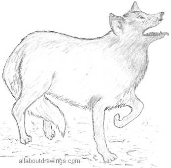 easy wolf pencil drawing