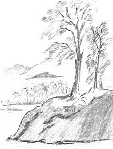 Black and White Drawing Landscape