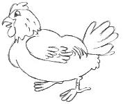 Cartoon Chicken