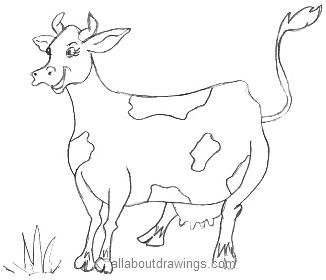 Cartoon Cow