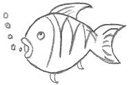 Cartoon Fish Drawings