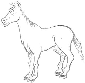 Cartoon Horse Drawings
