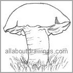 Cartoon Mushroom Outline