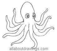 Cartoon Octopus Drawing