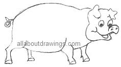 Cartoon Pig