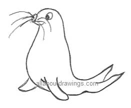 Cartoon Seal Drawing
