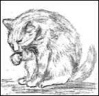 Sketch of cat licking