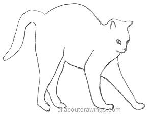 Cat Stretching Drawing