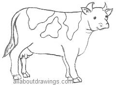 Cartoon Cow